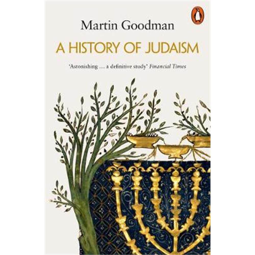 A History of Judaism (Paperback) - Martin Goodman